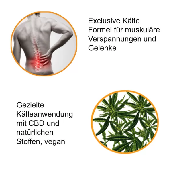 CBD ICE Cooling Sport Gel, veganes Kühlgel mit 700 mg CBD, Menthol & Eukalyptusöl für beanspruchte Hautpartien, 100 ml